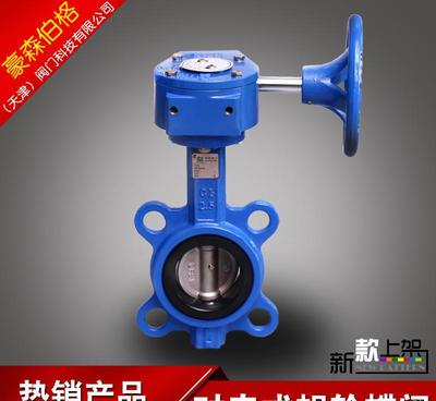 豪森伯格铸铁对夹D371X-10蜗轮蝶阀 高清细节与厂家直销优势解析