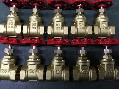 松江牌铜闸阀DN10-50 工程专用，坚固耐用的流体控制专家